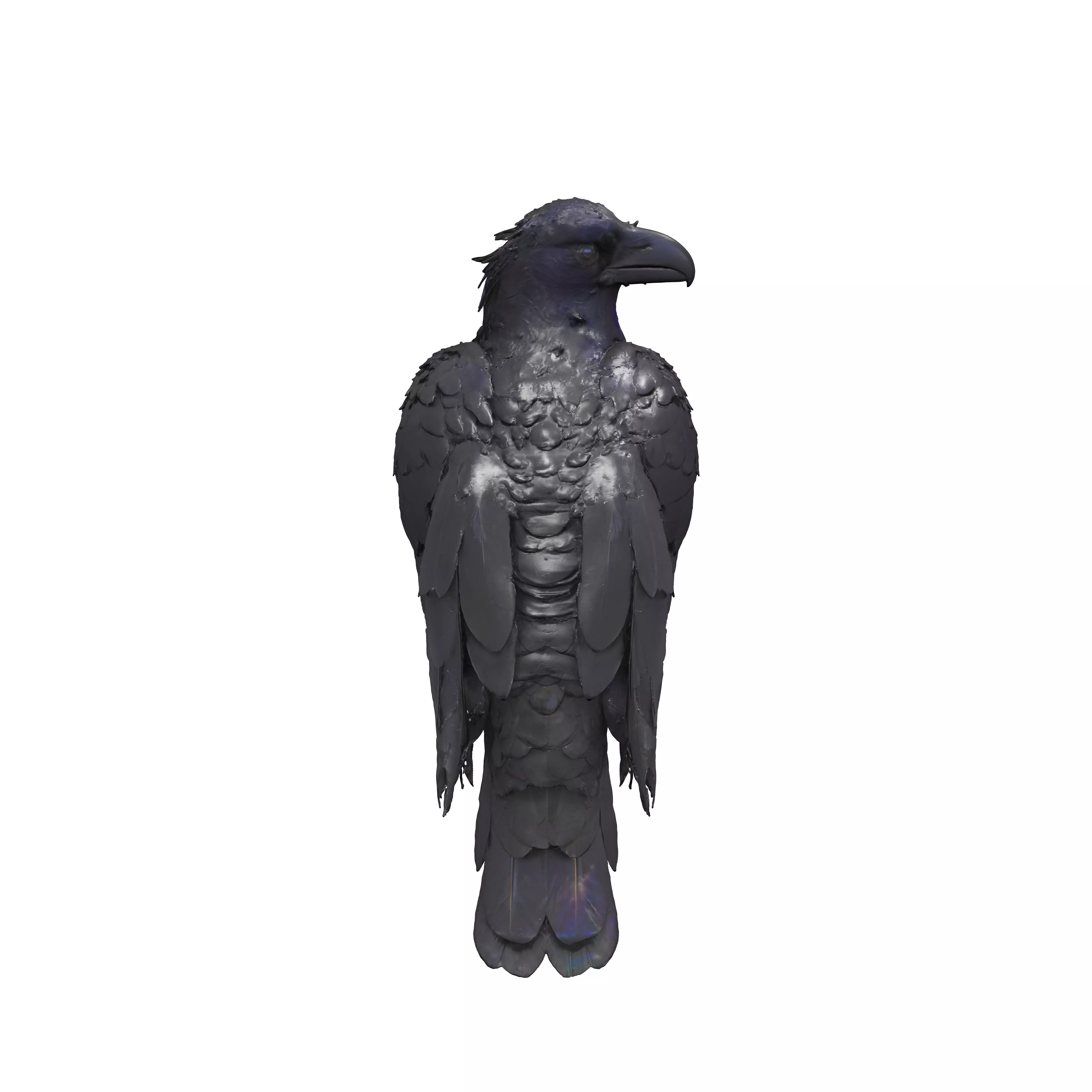 Ebon Sentinel 3D model