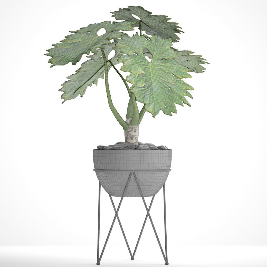 Philodendron 2 potted plant in metal stand 3D model_3