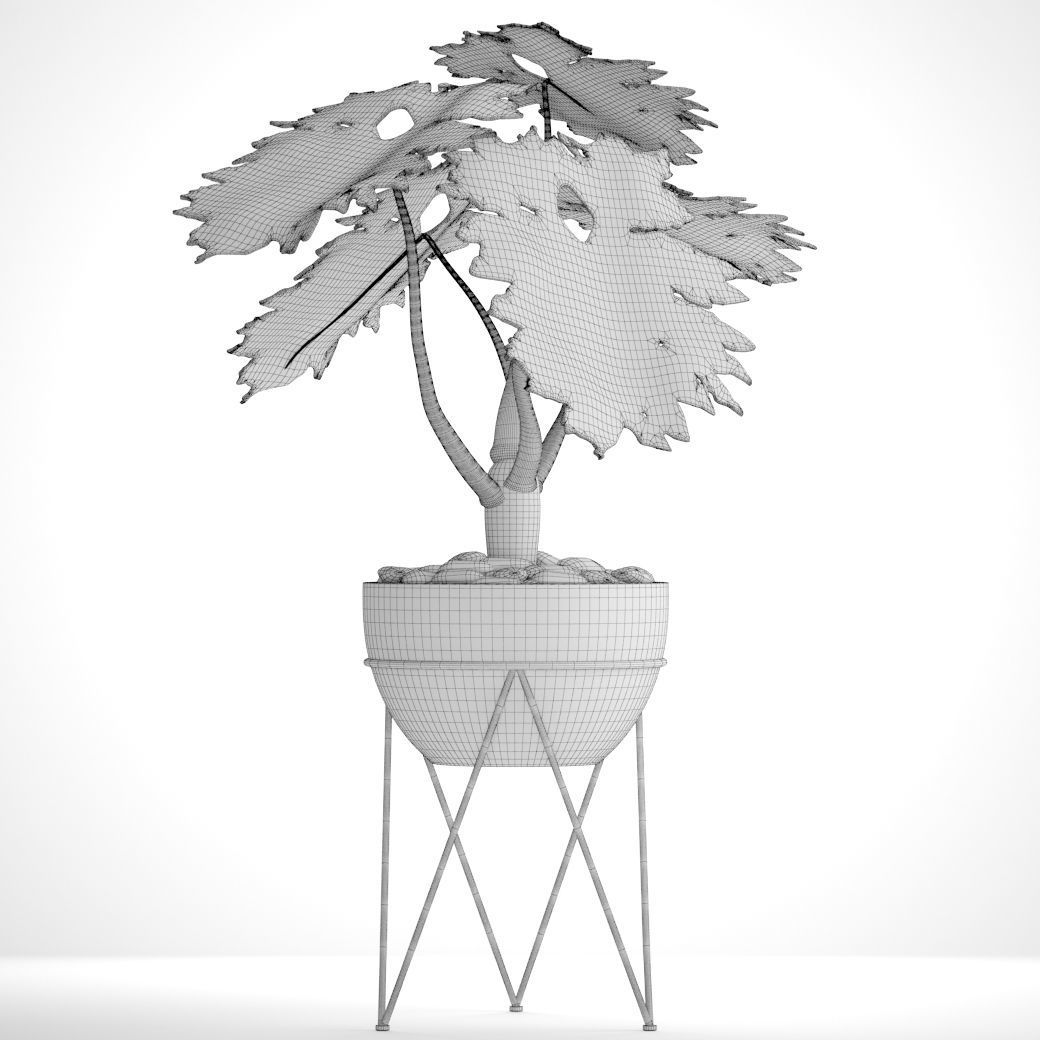 Philodendron 2 potted plant in metal stand 3D model_6