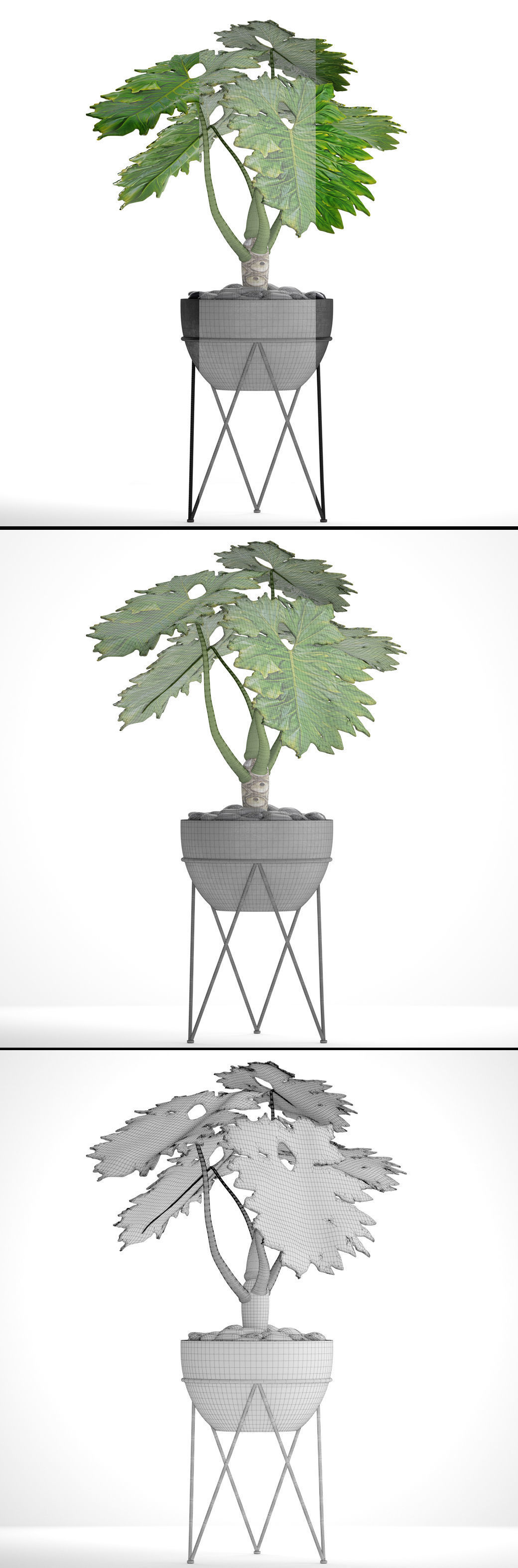 Philodendron 2 potted plant in metal stand 3D model_9