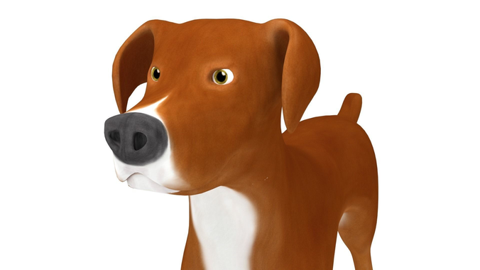 American Pitbull 3D model