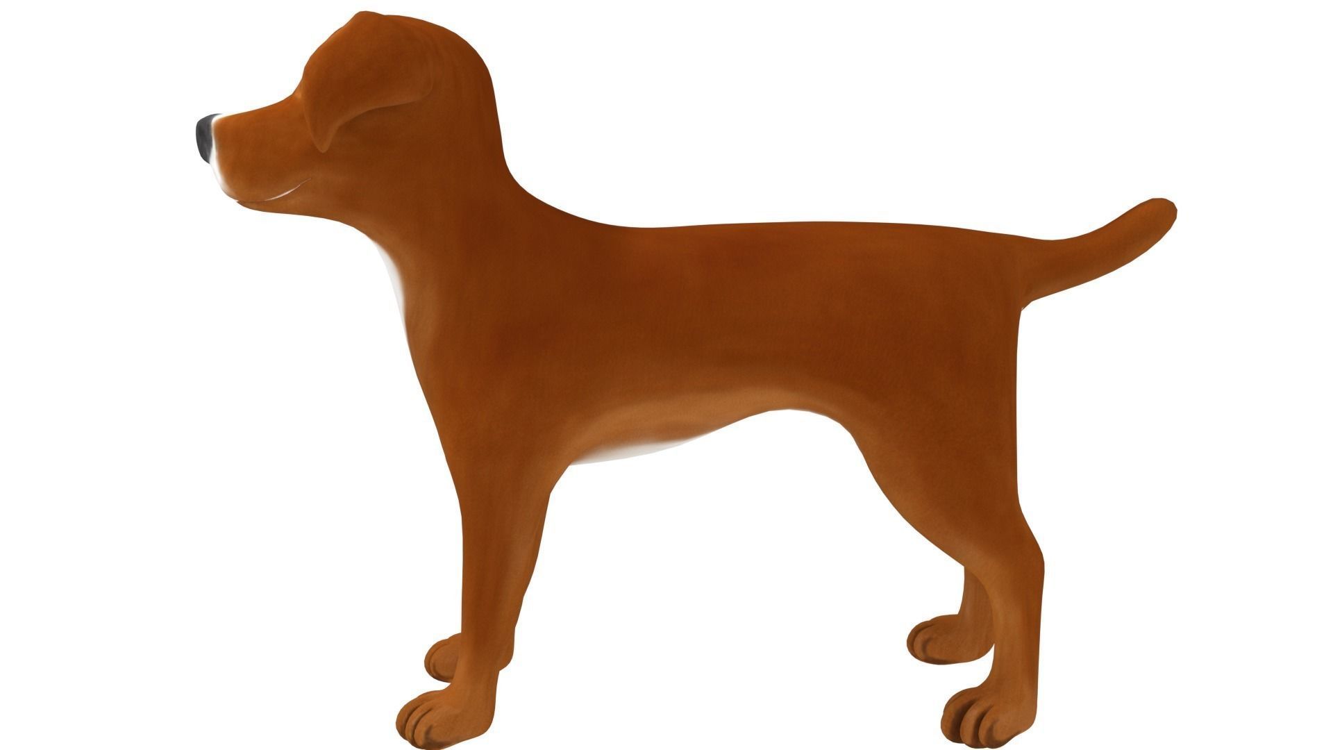 American Pitbull 3D model_2