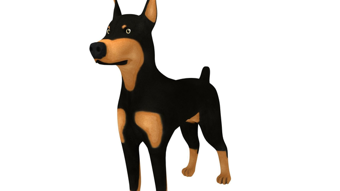 Doberman 3D model