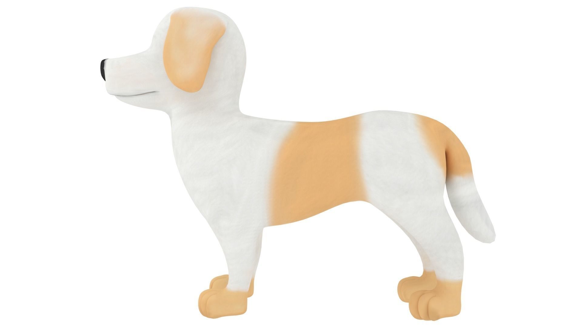 Havanese dog 3D model_2