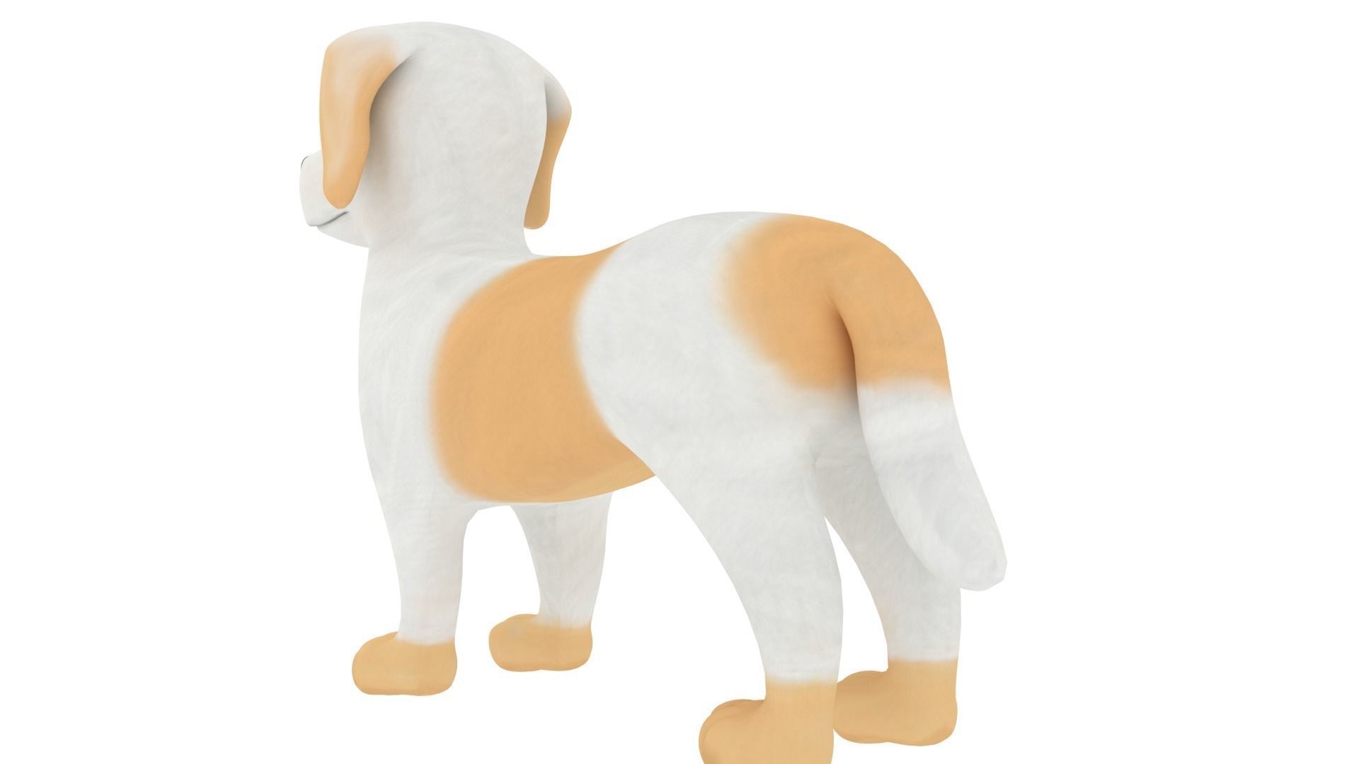 Havanese dog 3D model_3