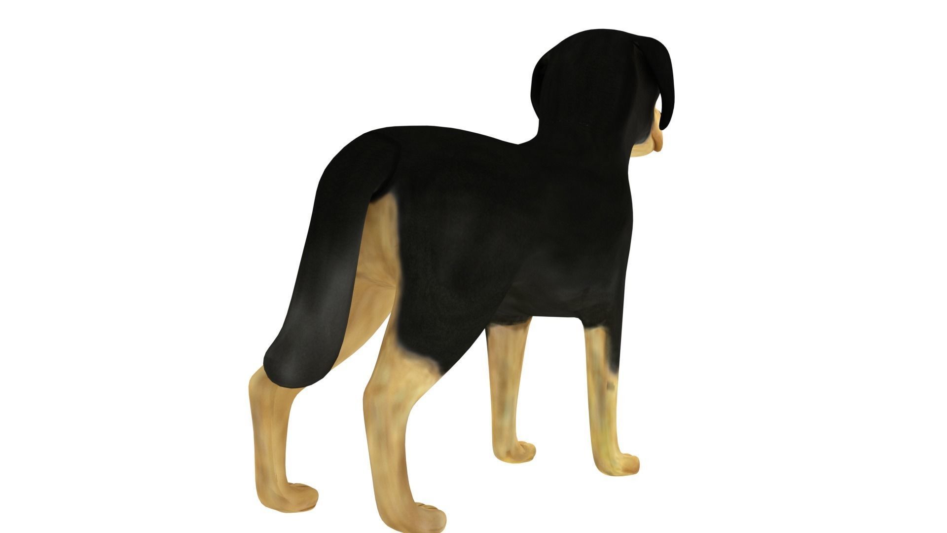 Rottweiler cartoon dog 3D model_4
