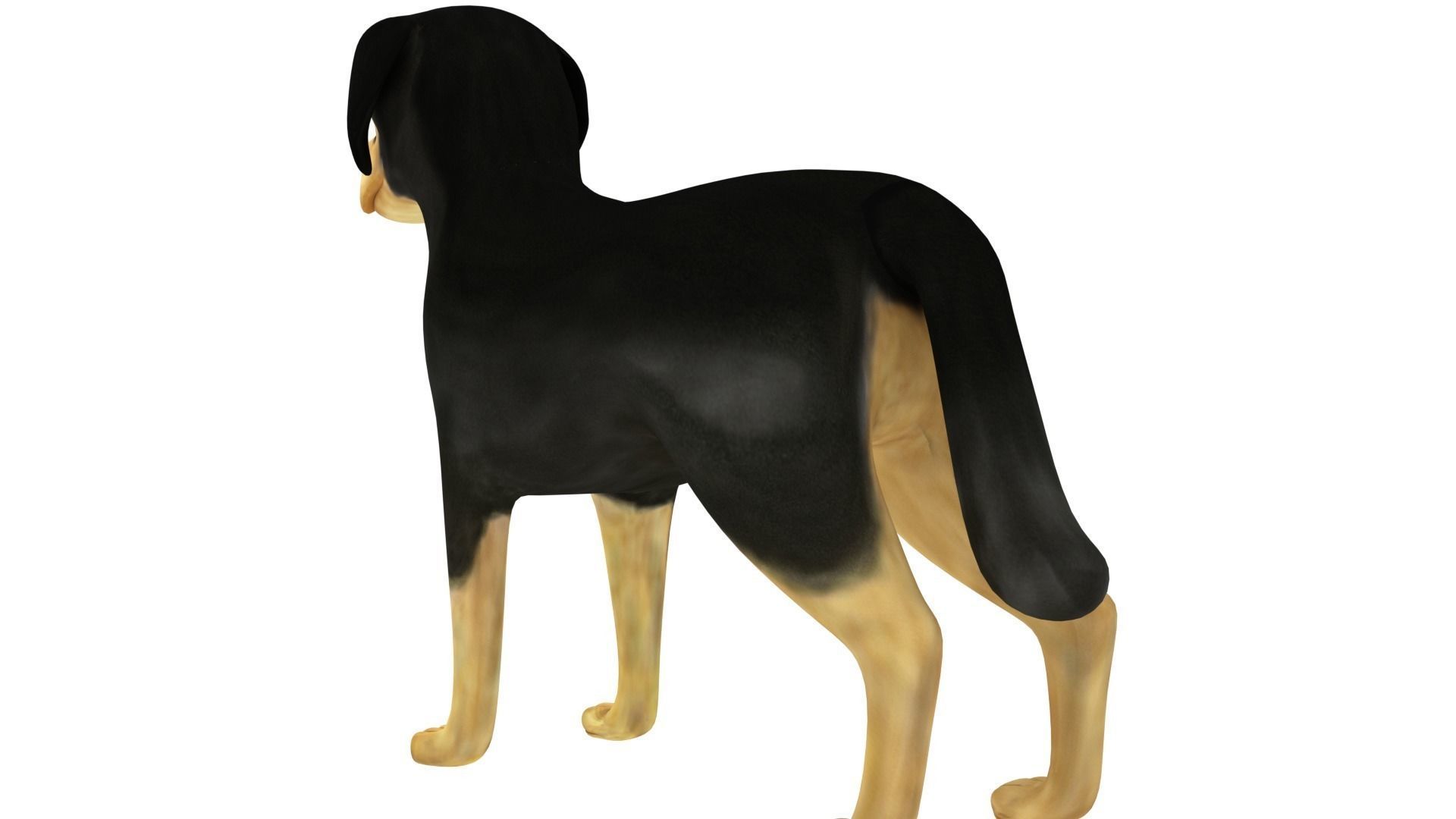 Rottweiler cartoon dog 3D model_3