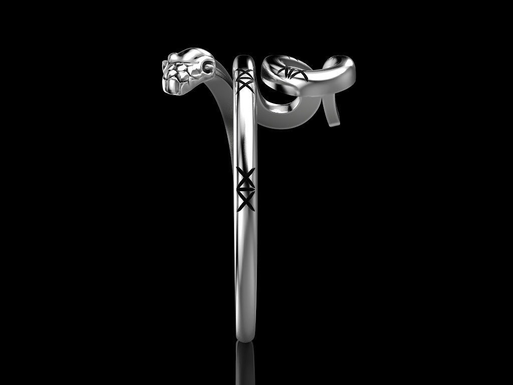 Ring of the Snake 3D print model_2