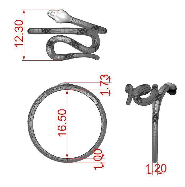 Ring of the Snake 3D print model_7