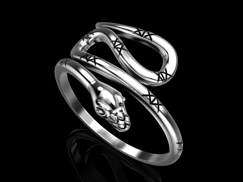 Ring of the Snake 3D print model_0