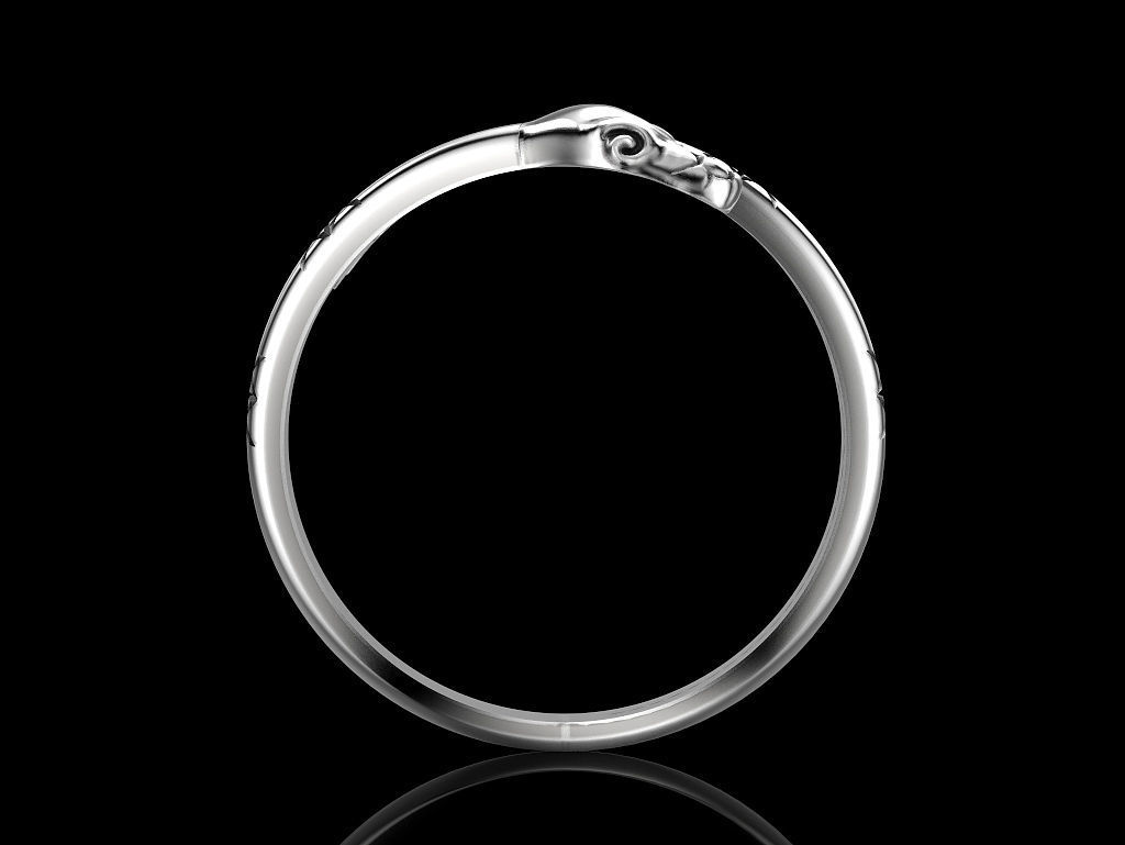 Ring of the Snake 3D print model_3