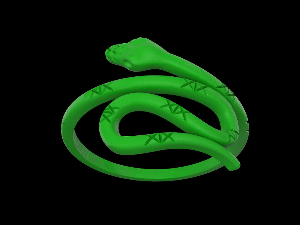 Ring of the Snake 3D print model_6