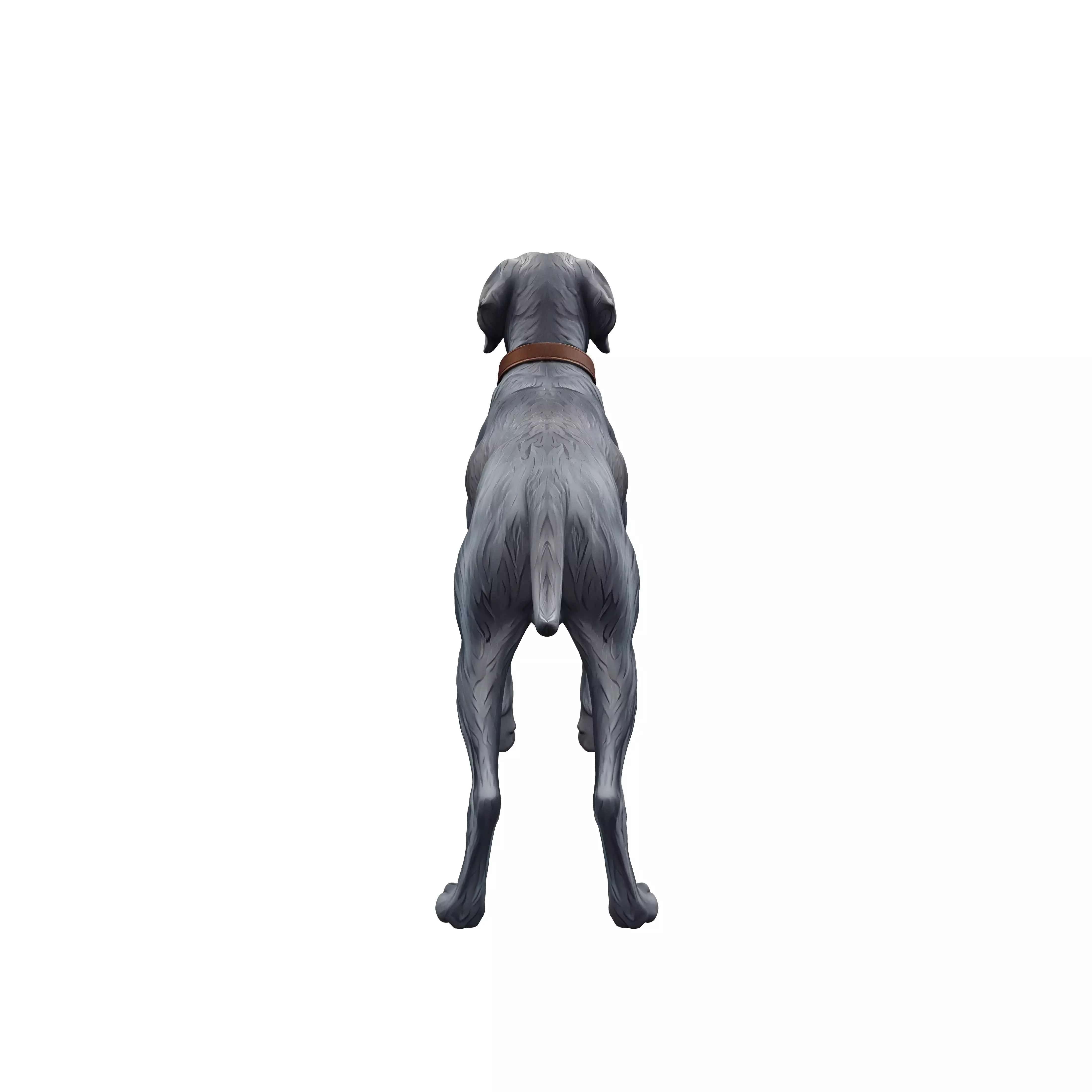 Grey Sentinel 3D model