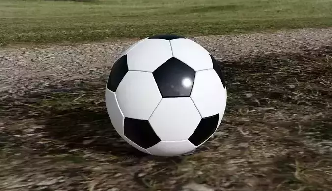 Soccer Ball 3D print model
