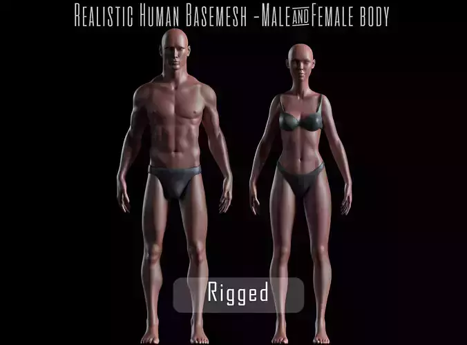 Realistic Human Basemesh - Rigged - UVMapped - Man and Woman Low-poly 3D model
