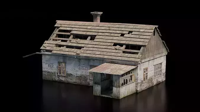 Abandoned House 8