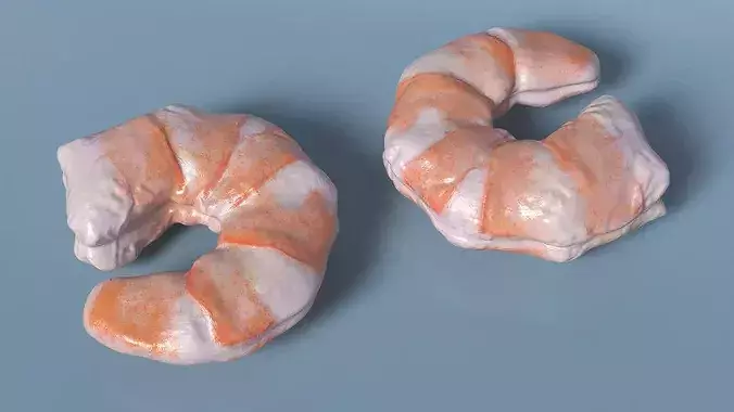 Peeled Shrimp Fresh 3D model 5