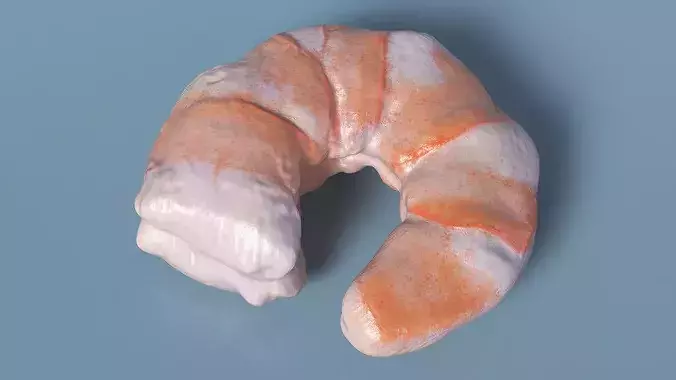 Peeled Shrimp Fresh 3D model