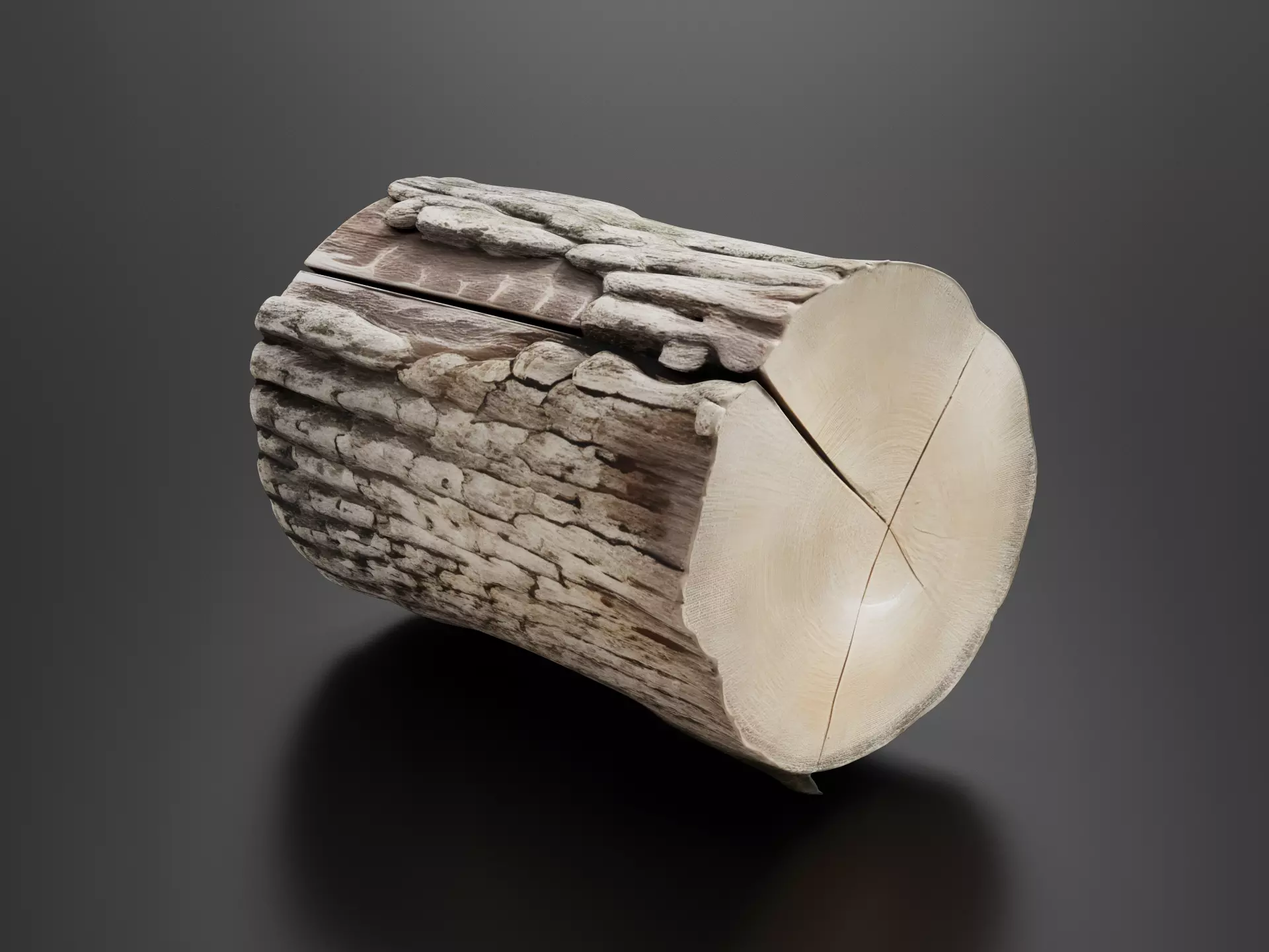 Tree trunk wood 03 3D print model