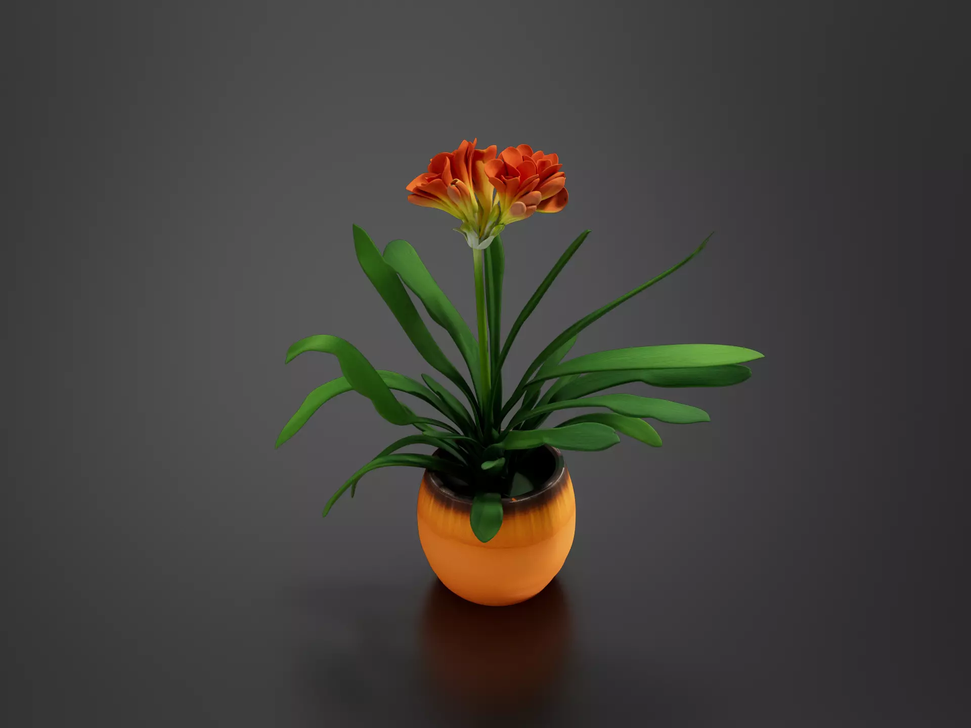 tropical clivia miniata rebel plants 3D print model