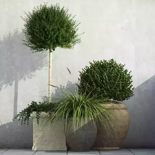 plant 36 Outdoor Planters
