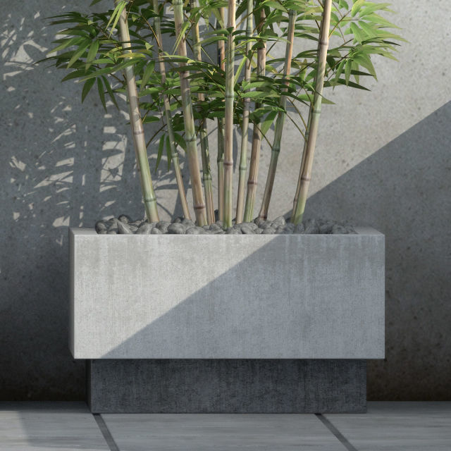 Plants collection 37  Bamboo 3D model_3