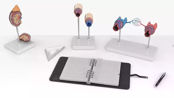 Vascular Surgeon Workplace 3D model 6