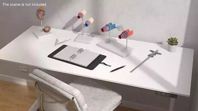 Vascular Surgeon Workplace 3D model