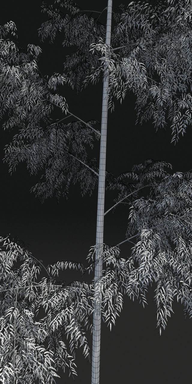 Bamboo Trees for scatter 3D model_2