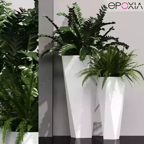 Plants collection 45 epoxia