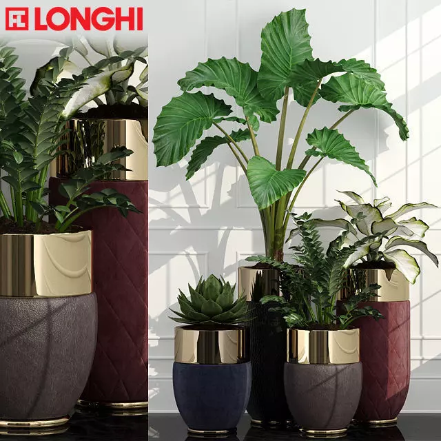 Plants collection 47 Longhi Godwin 3D model