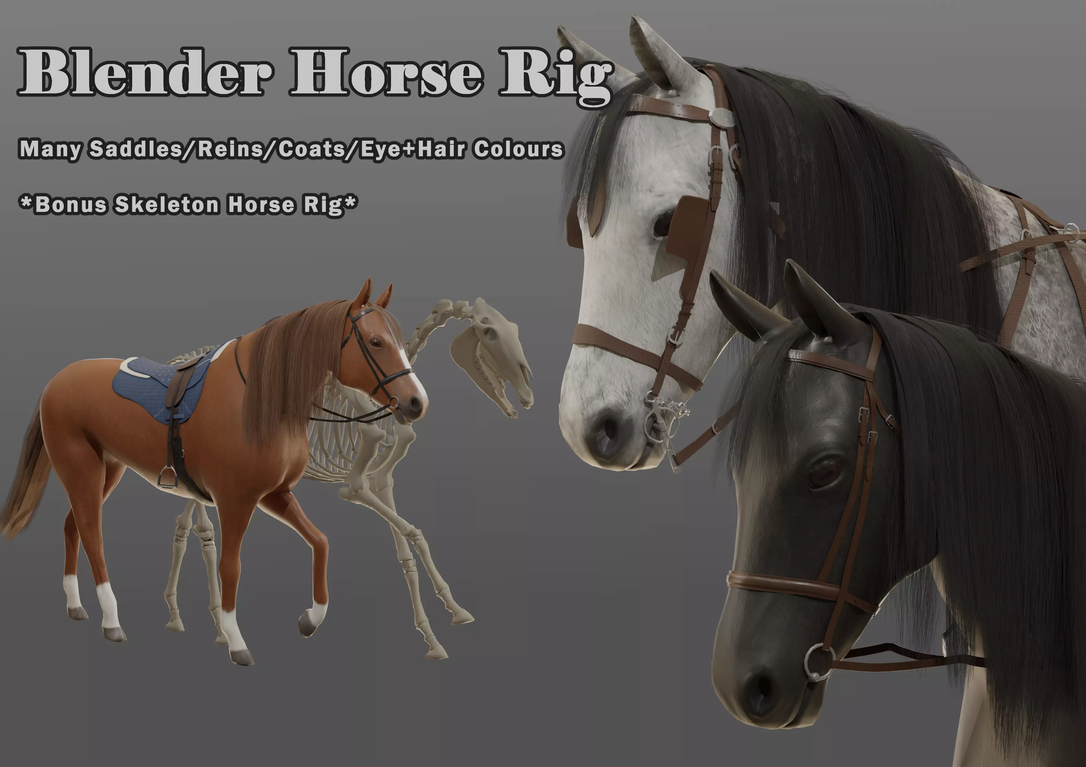 Horse Rig with Accessories 3D model