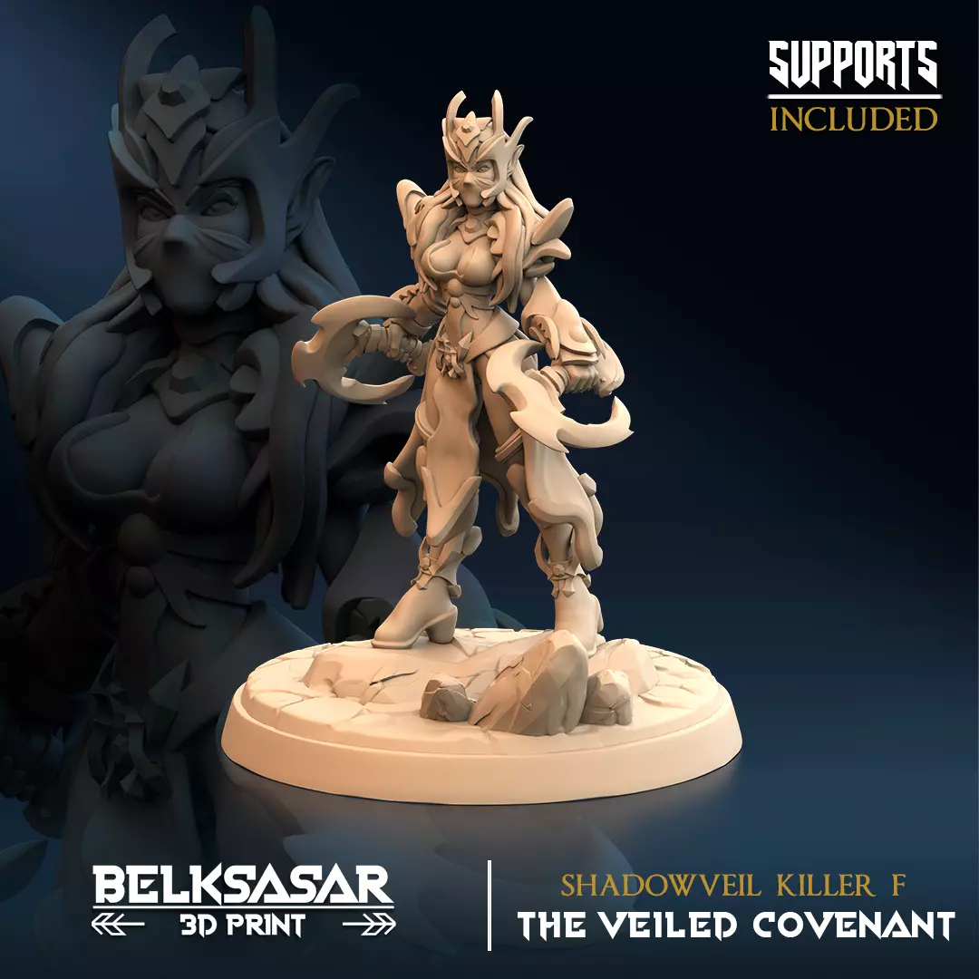Drow Dual Blade Assassin - Shadowveil Killer F 3D print model