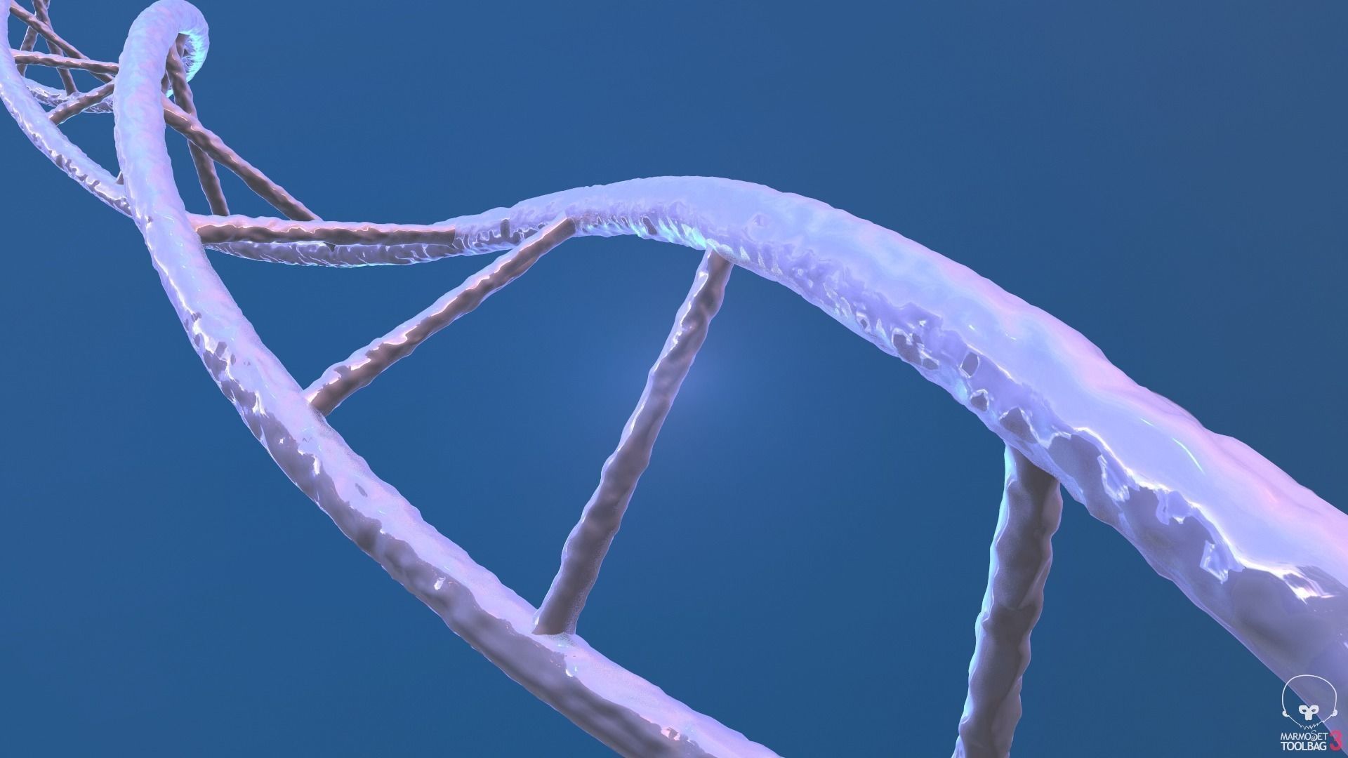 Helix strand of Human DNA 3D model_2