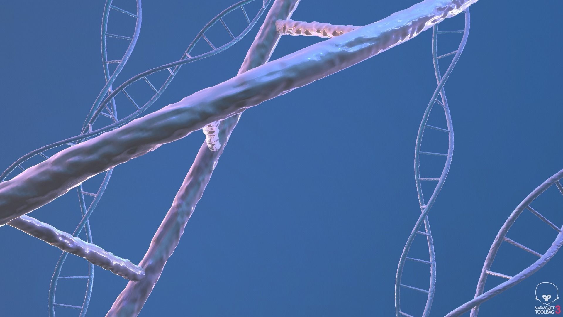 Helix strand of Human DNA 3D model_3