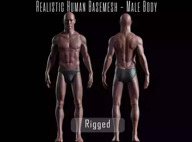 Realistic Human Basemesh - Rigged - UVMapped - Man Body Low-poly 3D model
