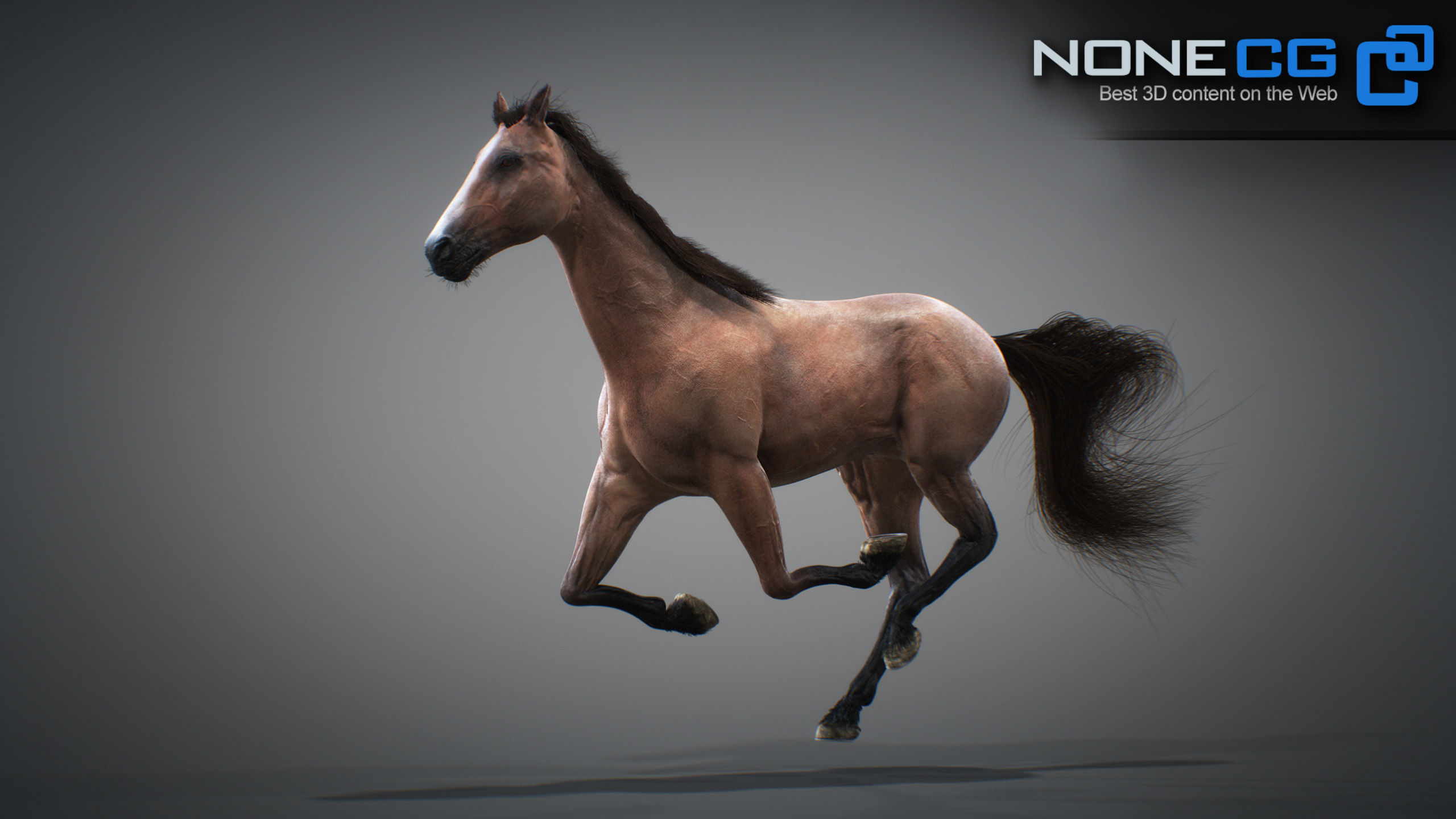 Animated Horses 3DS Max 3D model_28