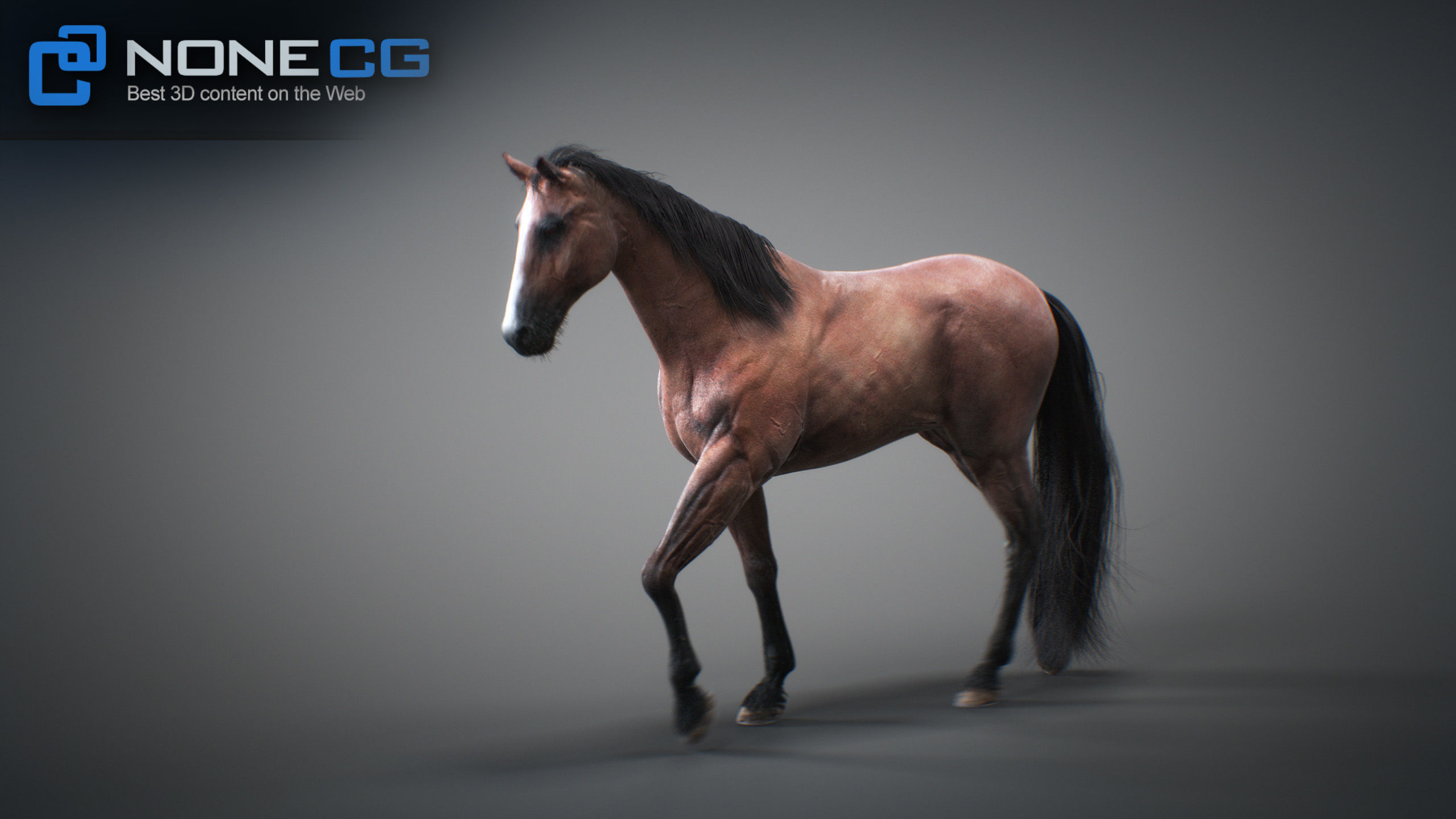 Animated Horses 3DS Max 3D model_43
