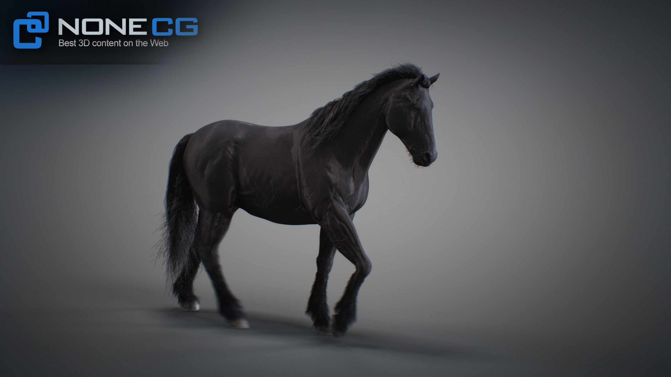 Animated Horses 3DS Max 3D model_36