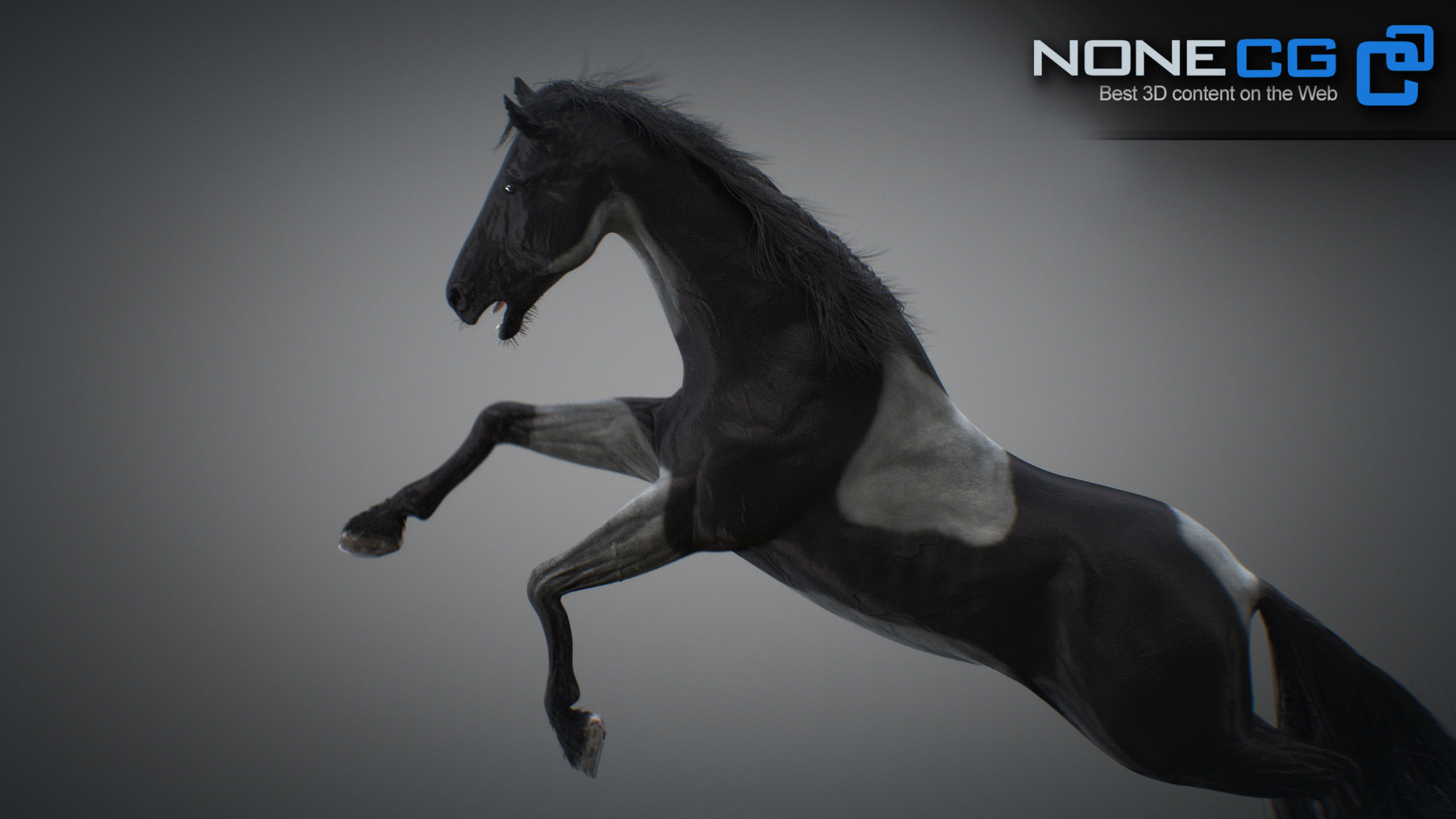 Animated Horses 3DS Max 3D model_50