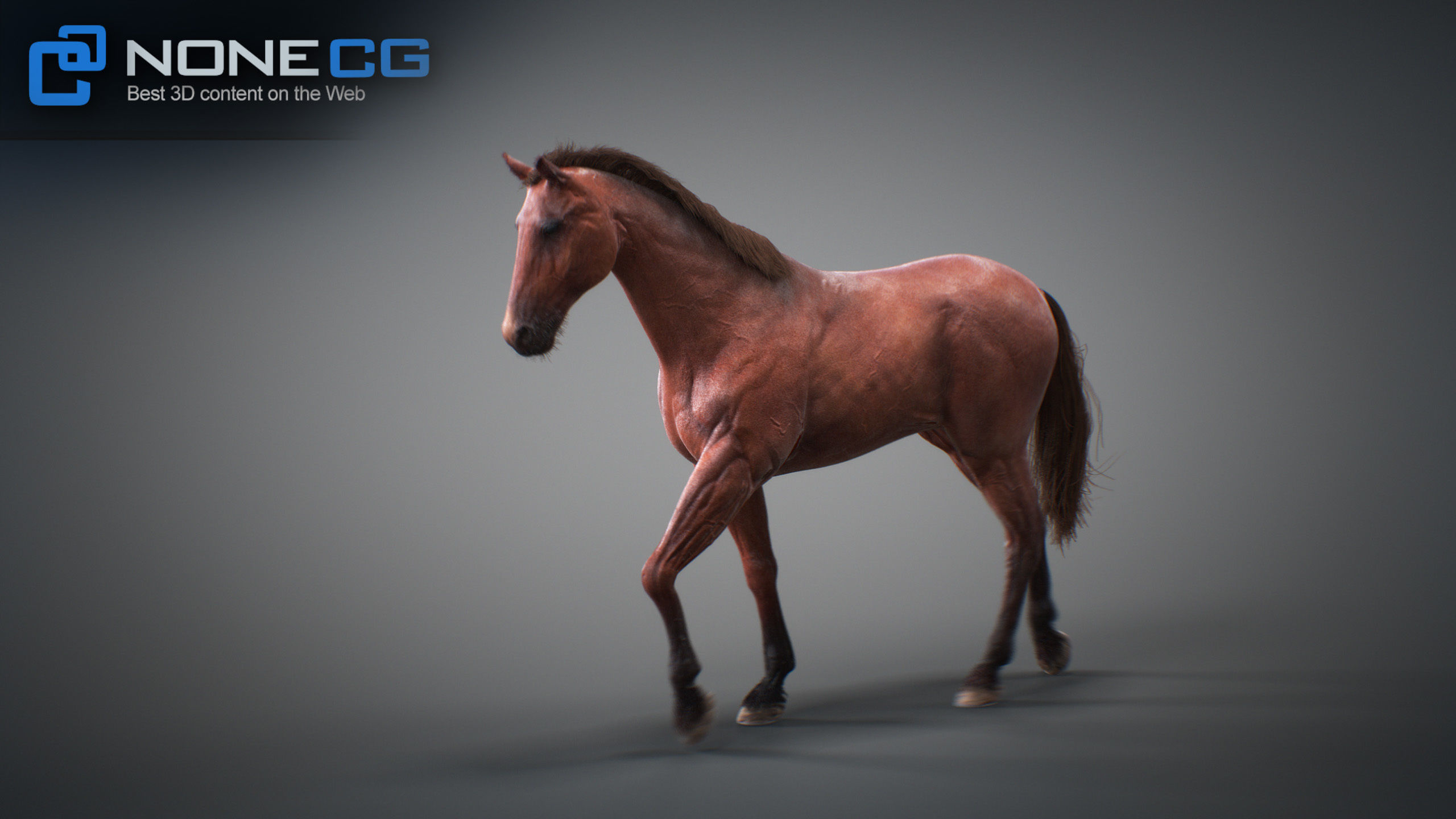 Animated Horses 3DS Max 3D model_48