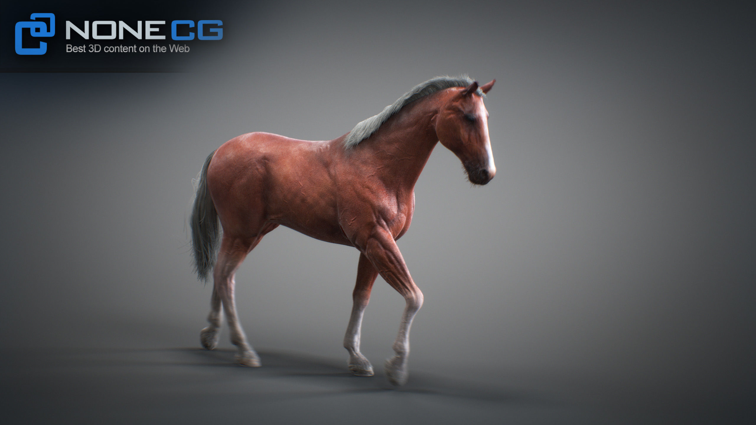 Animated Horses 3DS Max 3D model_46