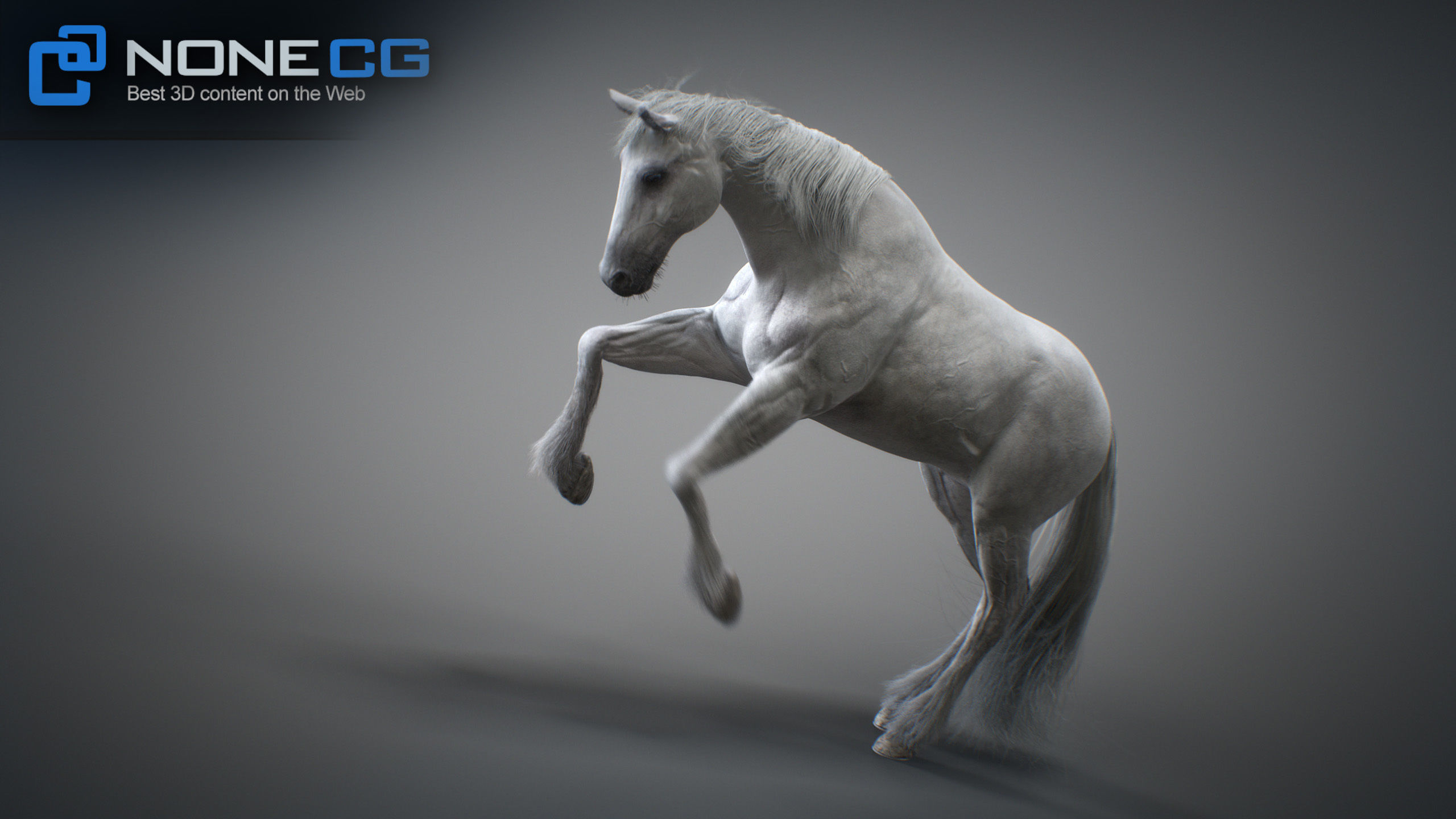 Animated Horses 3DS Max 3D model_11