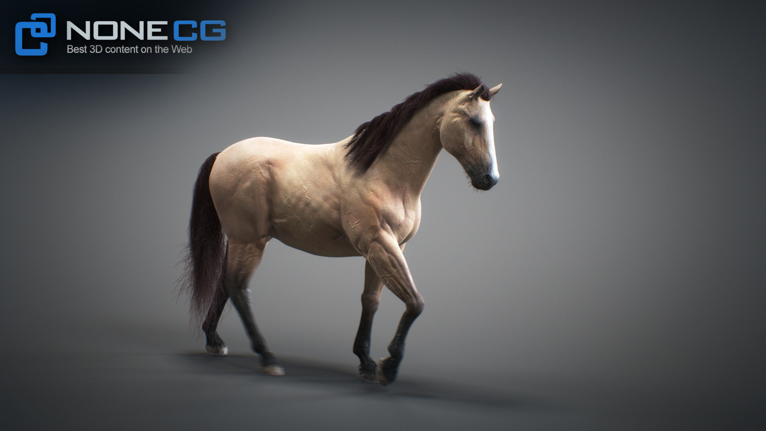 Animated Horses 3DS Max 3D model_32