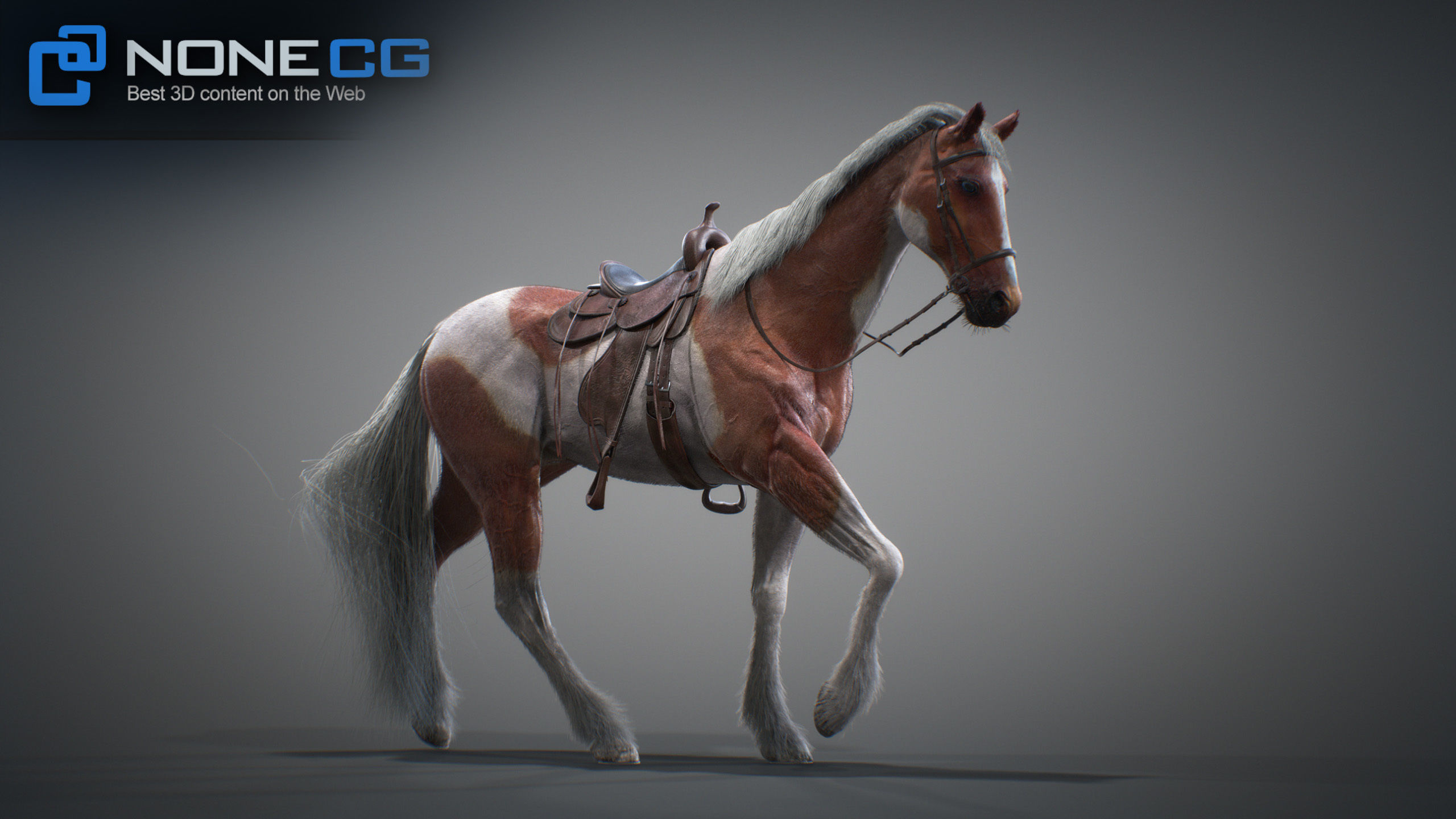 Animated Horses 3DS Max 3D model_24