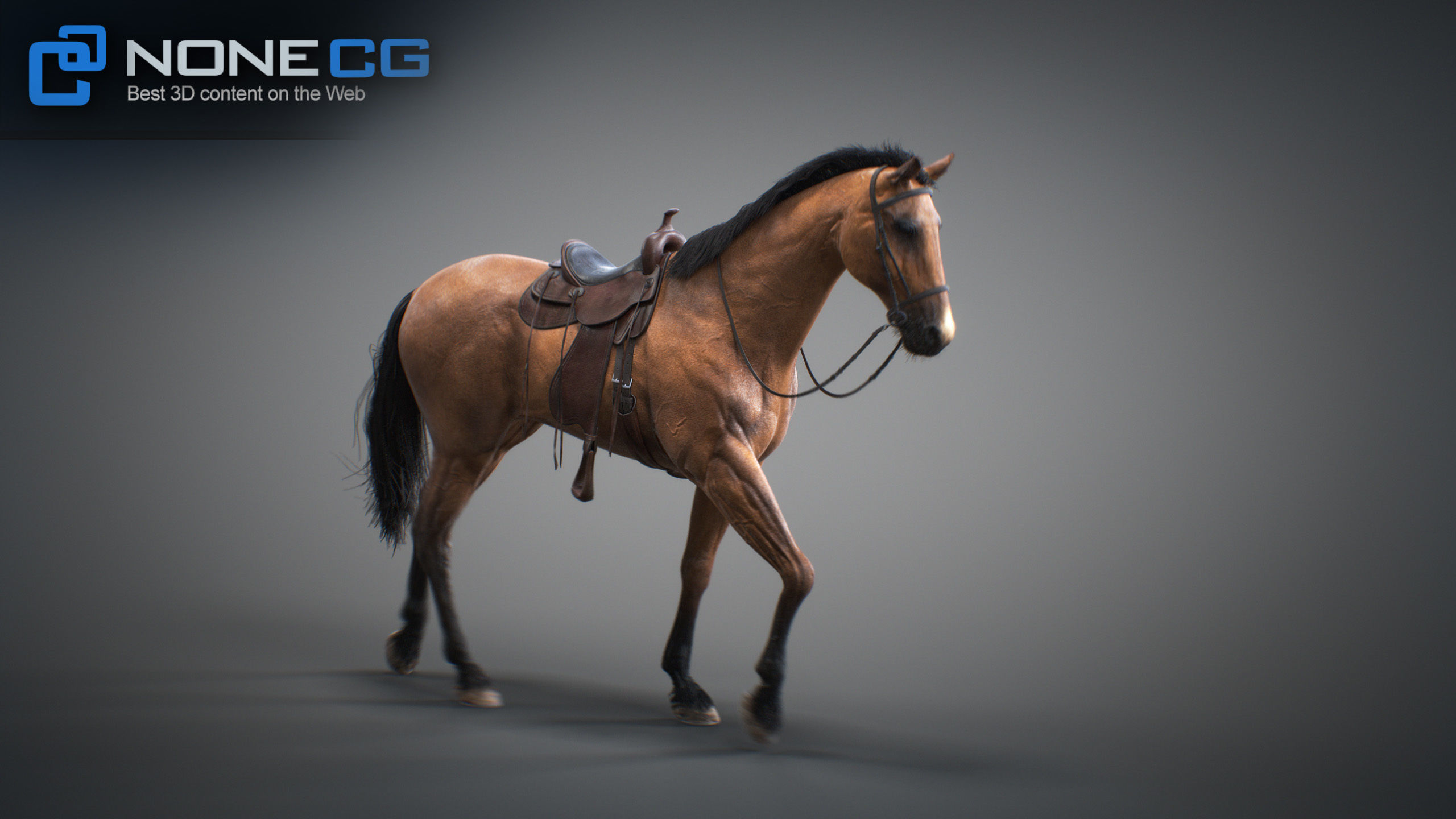 Animated Horses 3DS Max 3D model_38