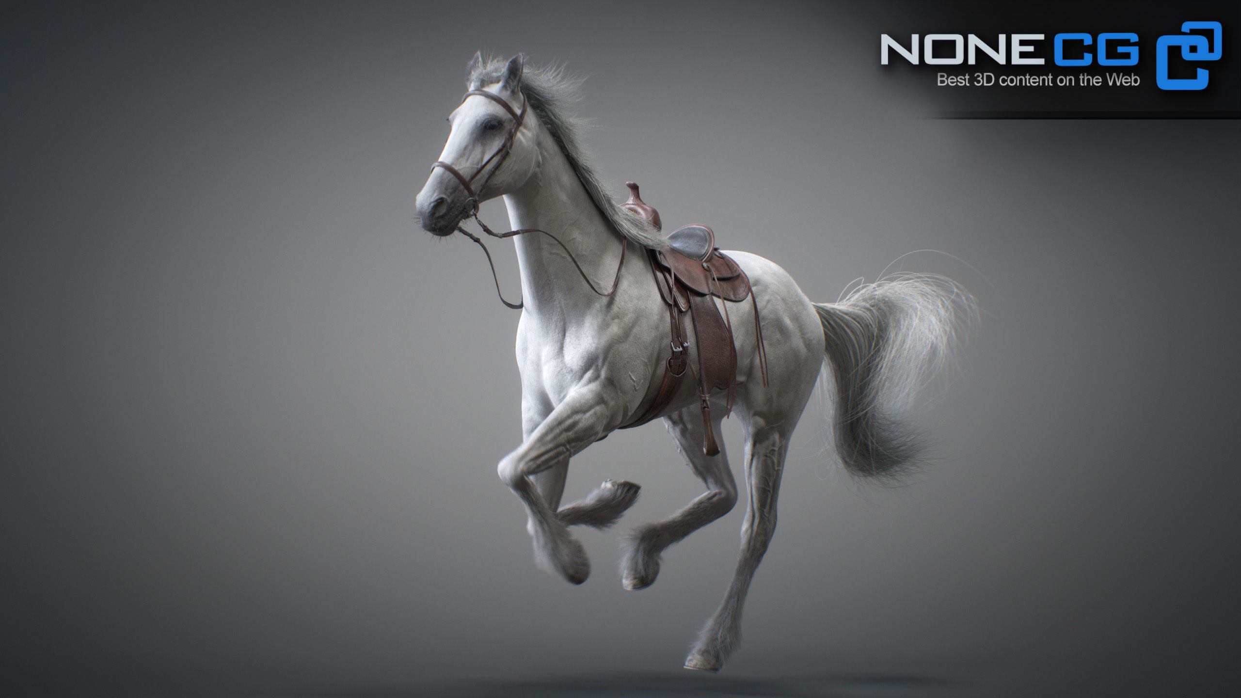Animated Horses 3DS Max 3D model_7