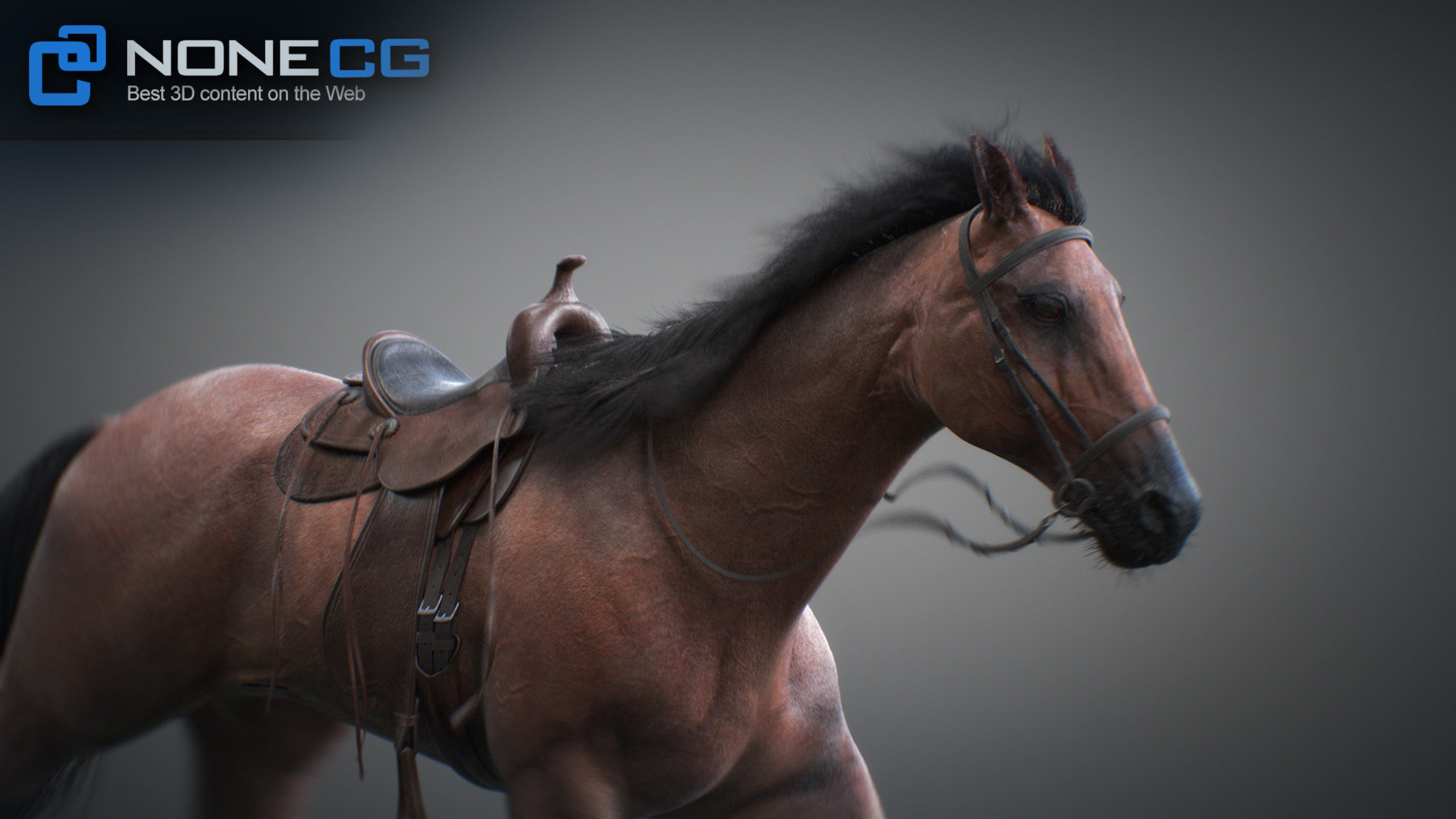 Animated Horses 3DS Max 3D model_4