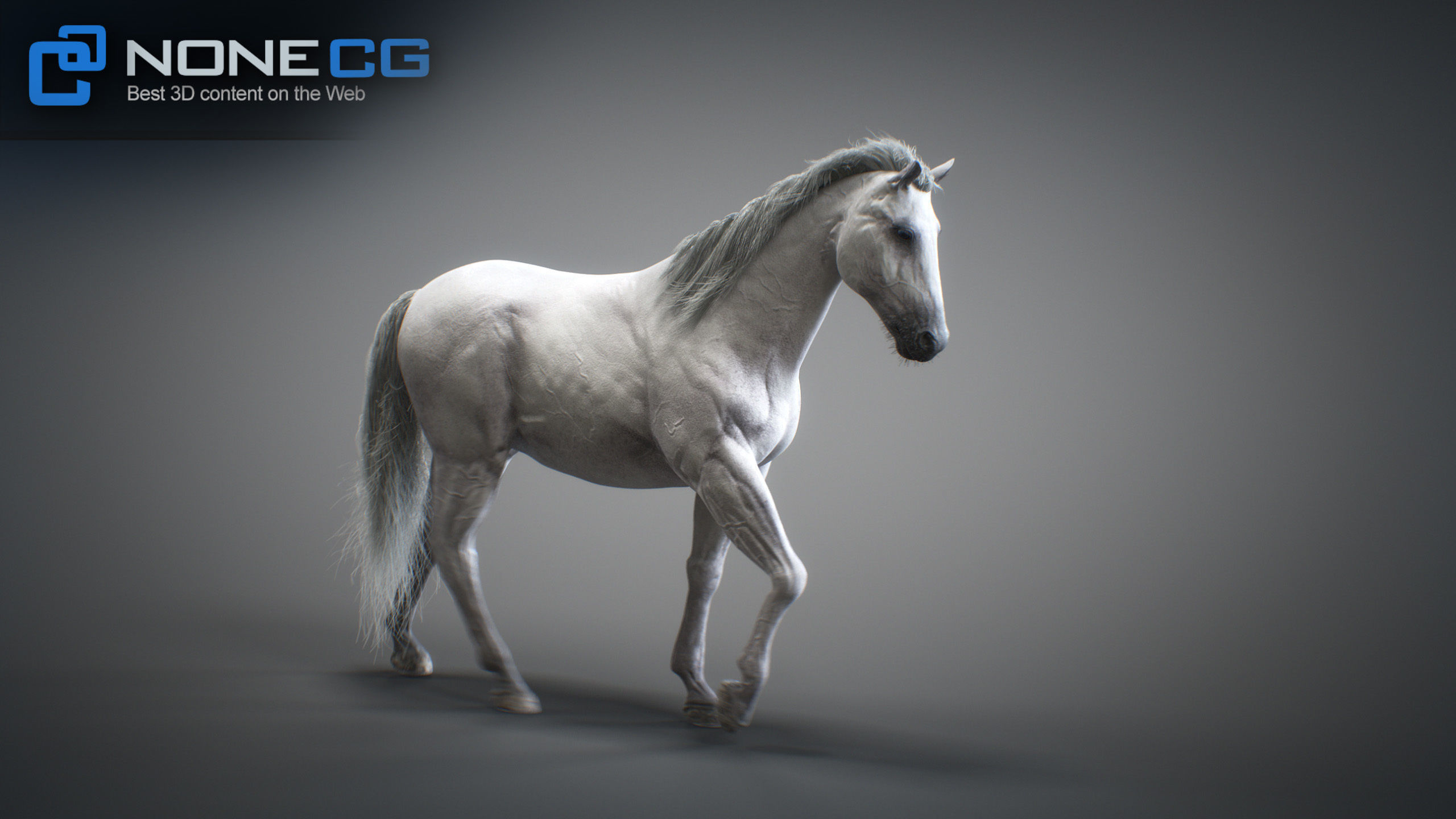 Animated Horses 3DS Max 3D model_34