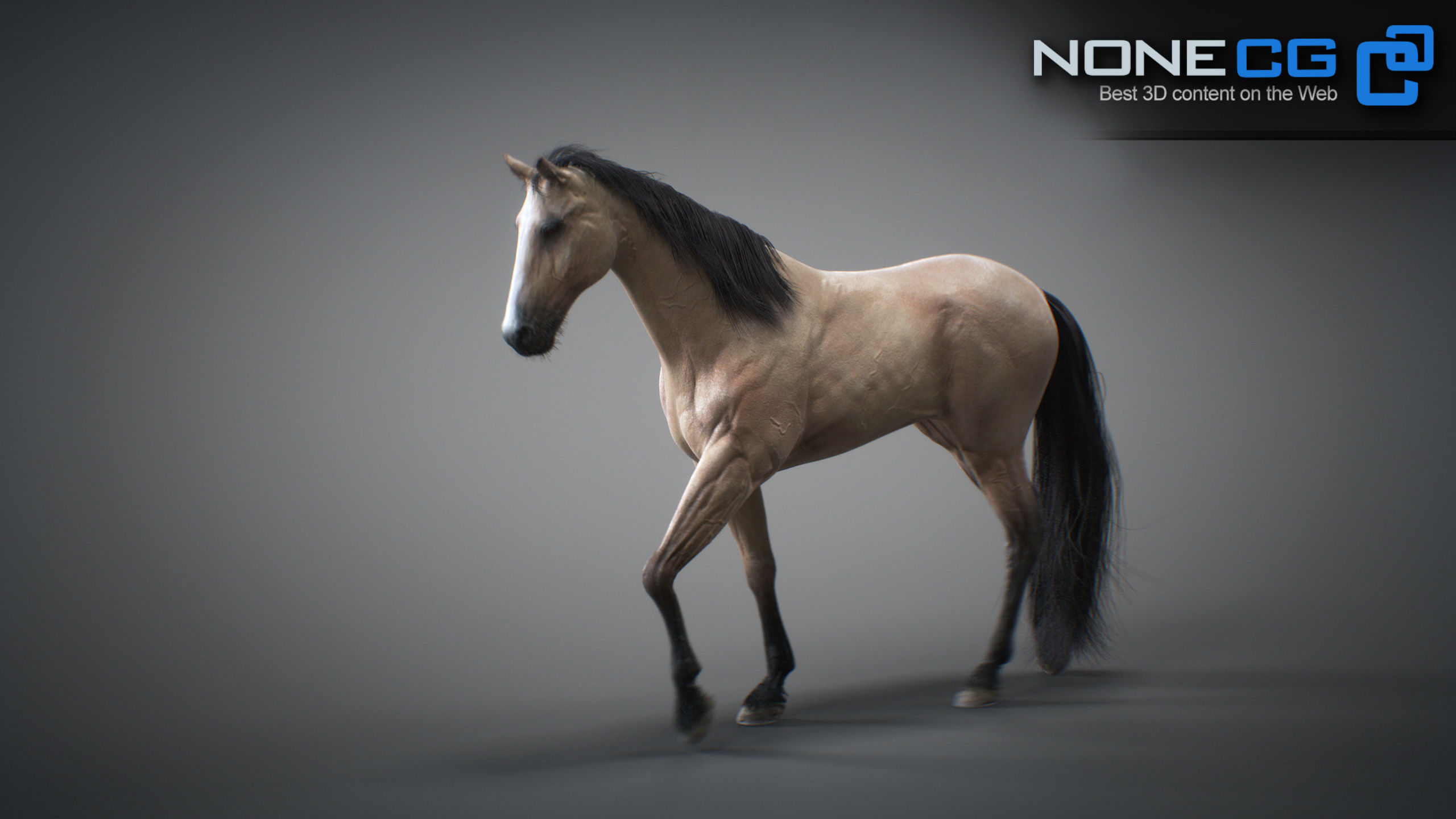 Animated Horses 3DS Max 3D model_45